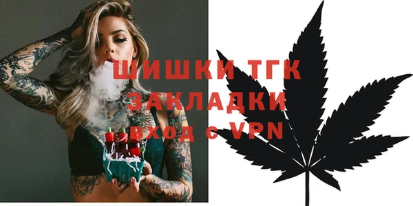 хмурый Касимов