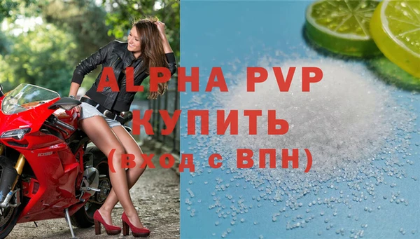 хмурый Касимов