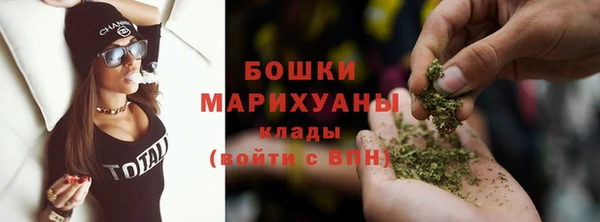 индика Приозерск