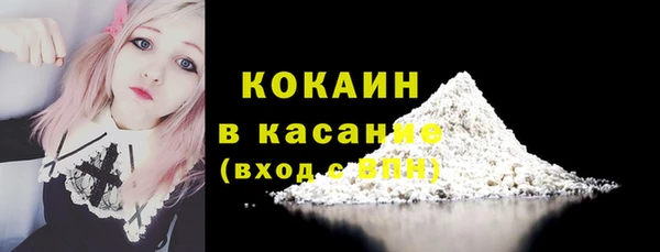 хмурый Касимов
