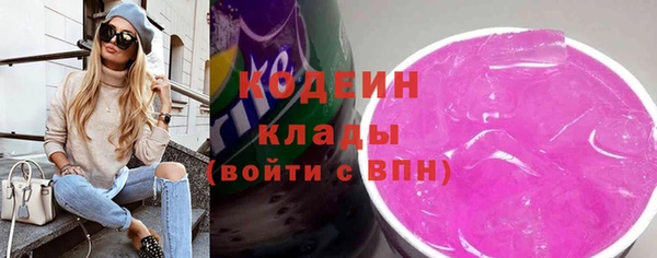 хмурый Касимов