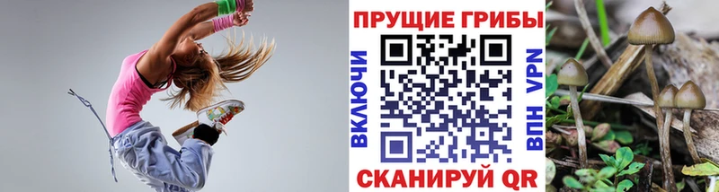 Купить где  Голицыно  Галлюциногенные грибы мухоморы 